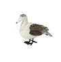 Walden™ hand carved driftwood duck
