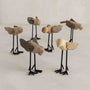 Walden™ hand carved wood birds (set of 6)