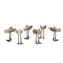 Walden™ hand carved wood birds (set of 6)