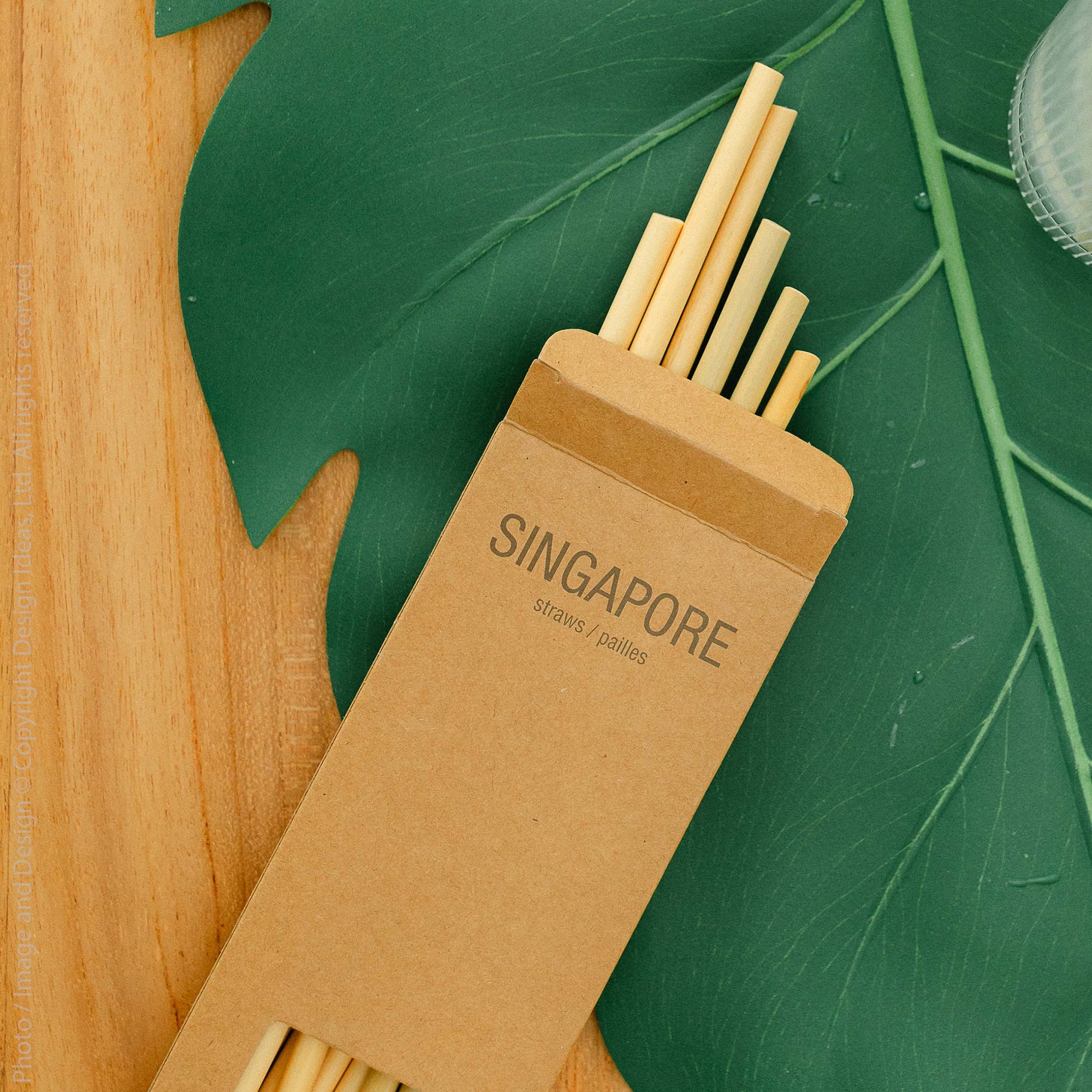 Singapore™ Bamboo Straws (Box of 20)