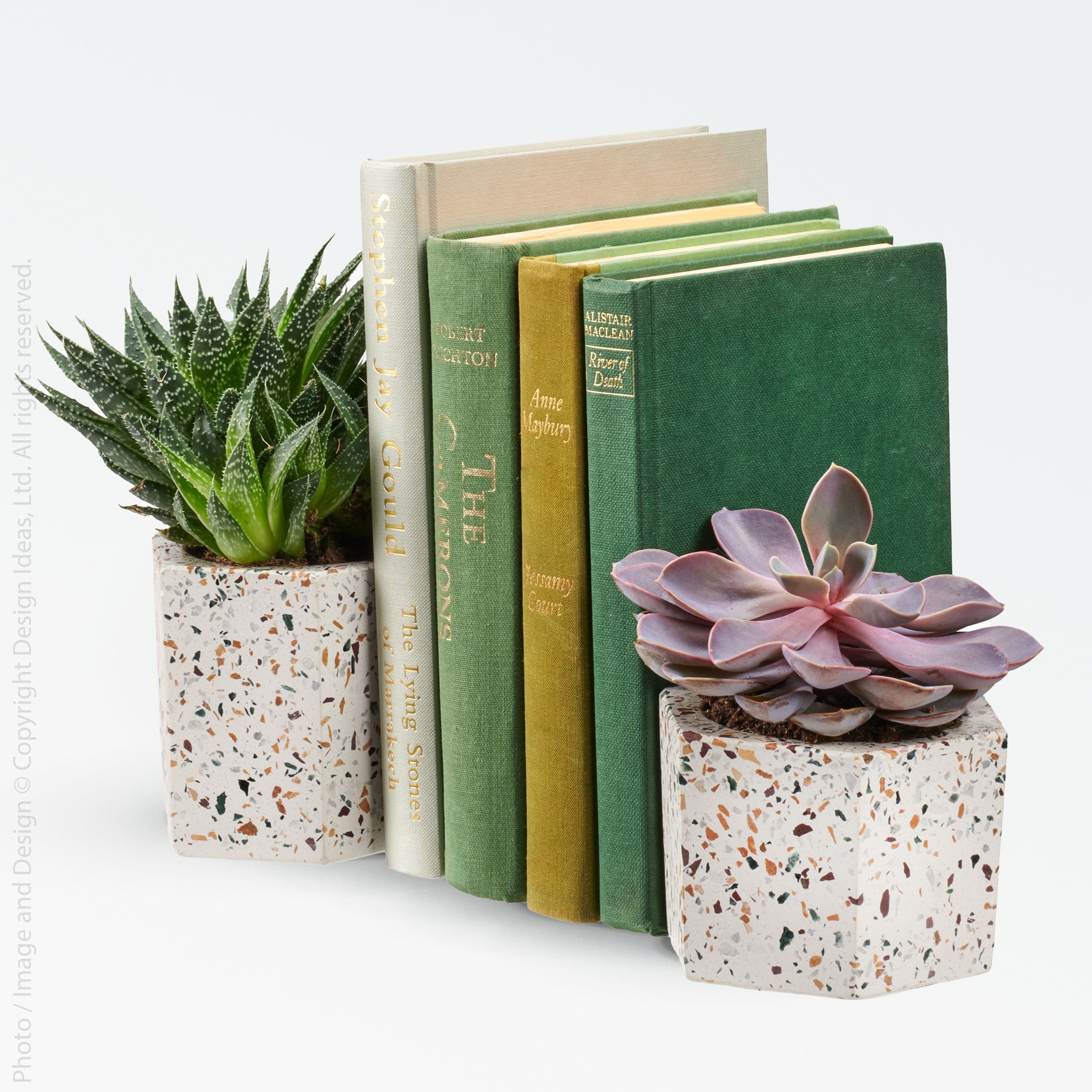 Terrazza Cement Hex Holders Terrazzo Color | Image 2 | From the Terrazza Collection | Elegantly created with natural cement for long lasting use | Available in terrazzo color | texxture home