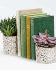 Terrazza Cement Hex Holders Terrazzo Color | Image 2 | From the Terrazza Collection | Elegantly created with natural cement for long lasting use | Available in terrazzo color | texxture home