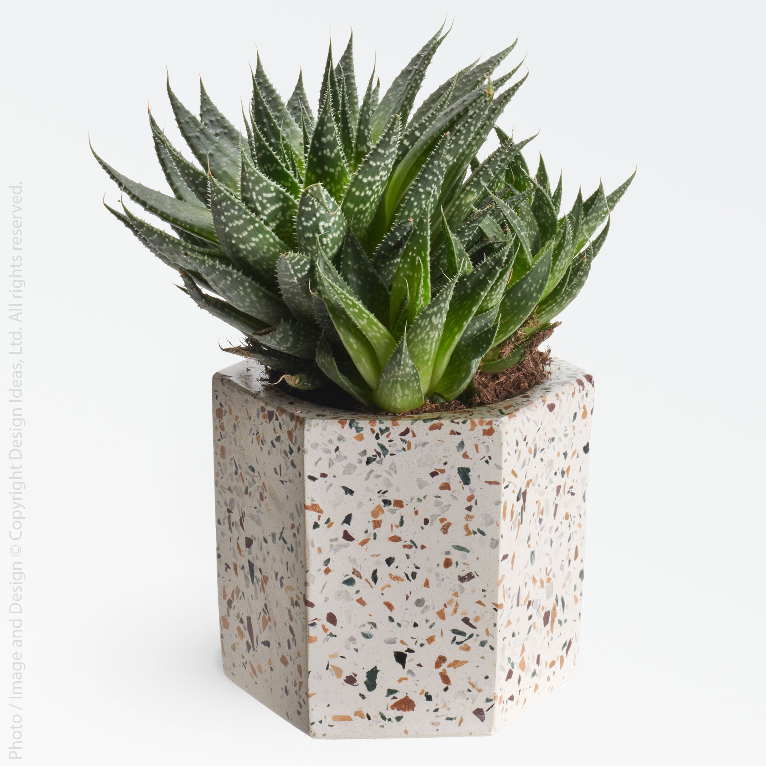 Terrazza Cement Hex Holders   | Image 3 | From the Terrazza Collection | Elegantly created with natural cement for long lasting use | Available in terrazzo color | texxture home