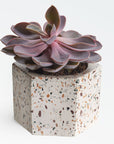 Terrazza Cement Hex Holders   | Image 4 | From the Terrazza Collection | Elegantly created with natural cement for long lasting use | Available in terrazzo color | texxture home