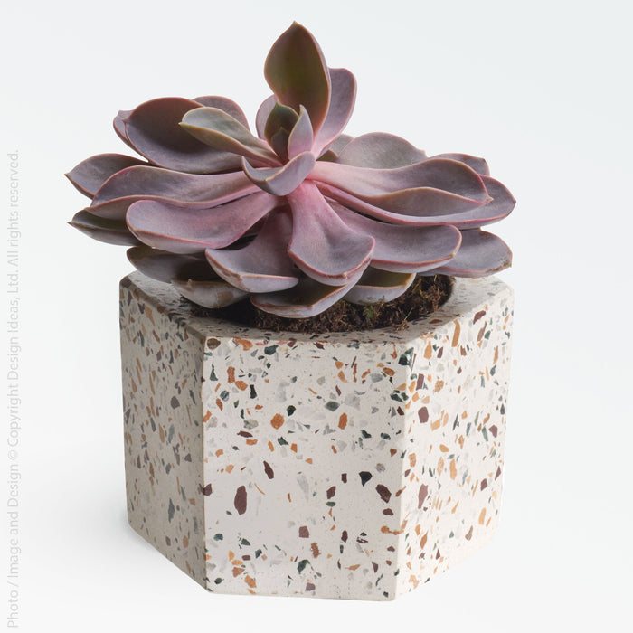 Terrazza Cement Hex Holders   | Image 4 | From the Terrazza Collection | Elegantly created with natural cement for long lasting use | Available in terrazzo color | texxture home