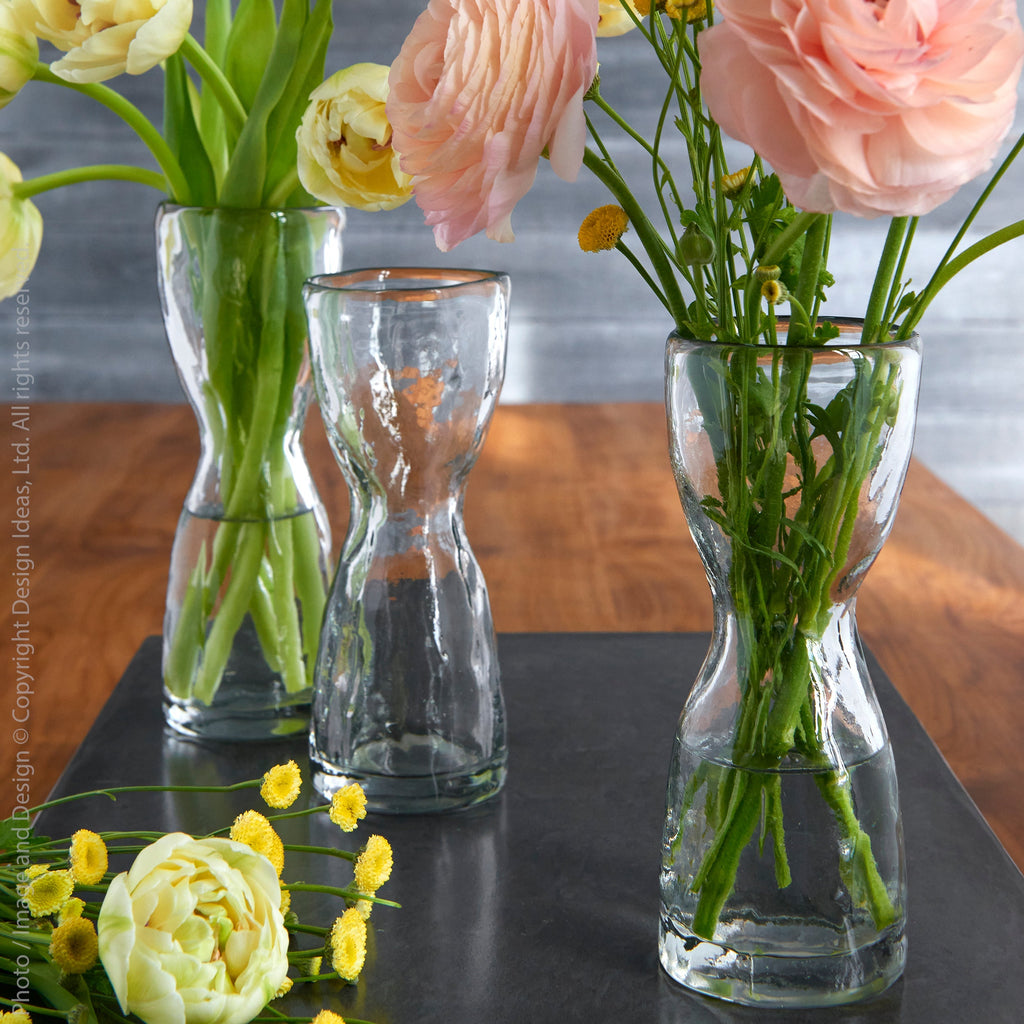 Wabisabi Glass Bulb Forcer (Small) texxture™ texxture home