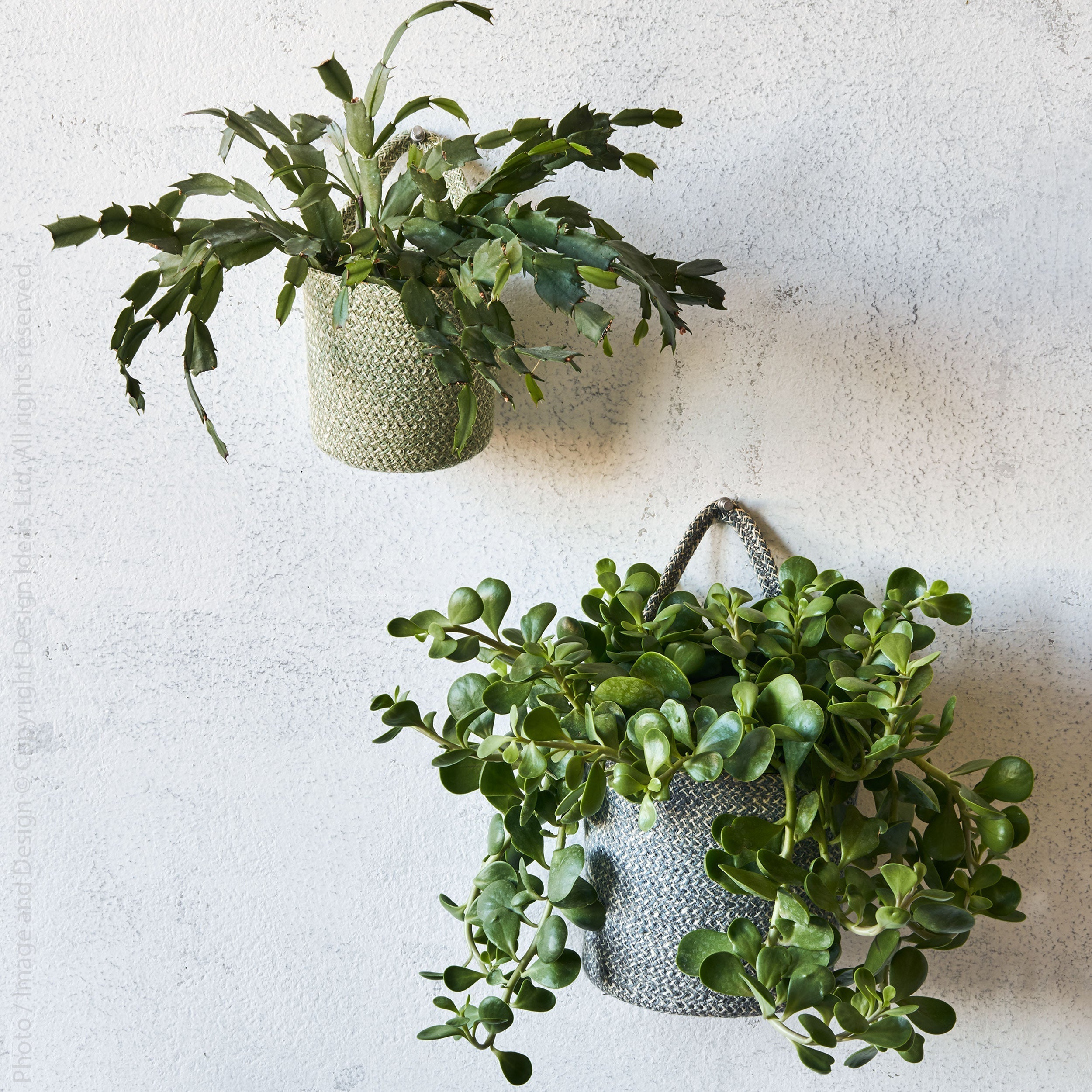 Melia™ hanging basket (6.3 x 7 x 6.5 in.) - Black | Image 2 | Premium Basket from the Melia collection | made with Jute for long lasting use | texxture