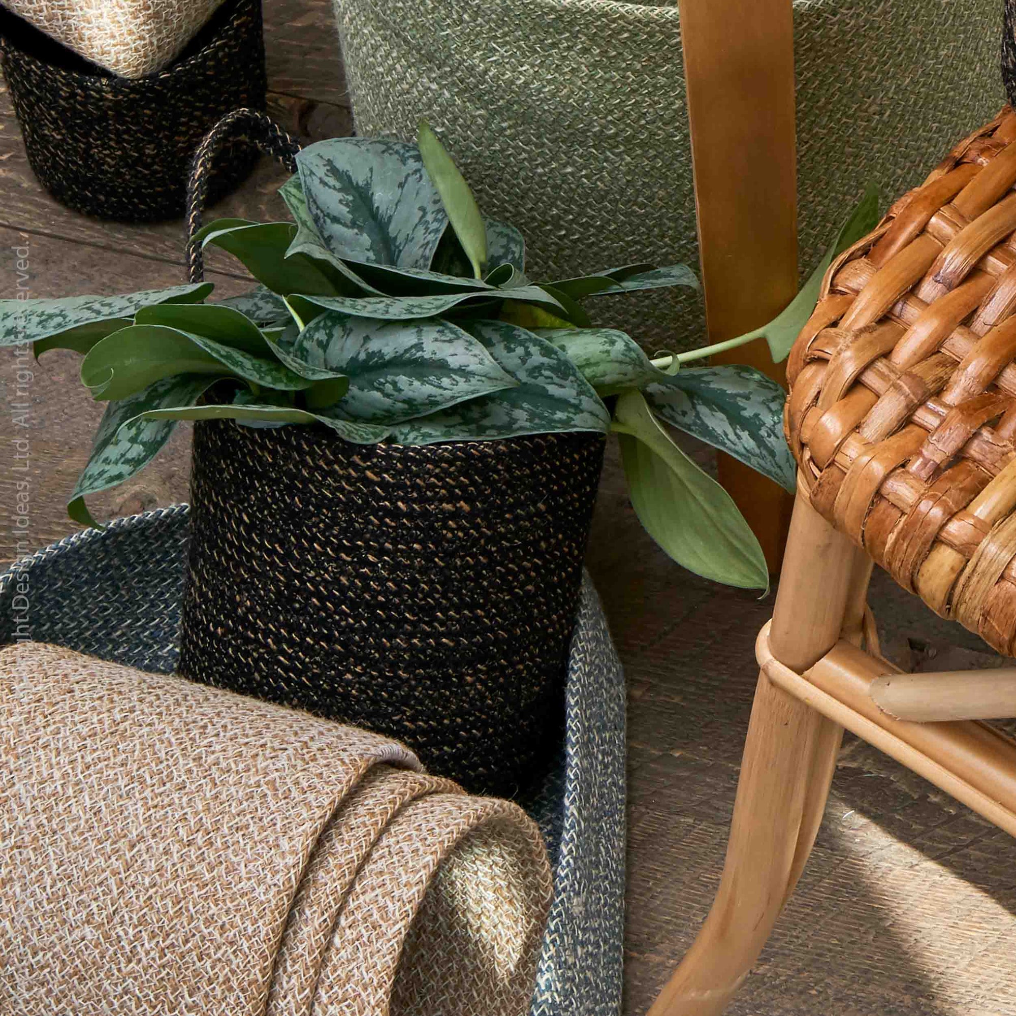 woven hanging baskets for plants Design Ideas Melia Hanging Basket