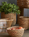 Palomar™ Woven Water Hyacinth Baskets (set of 3)
