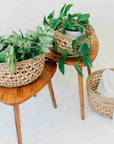 Fasano™ Woven Water Hyacinth Baskets (set of 3)