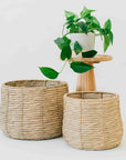 Pesaro™ Woven Water Hyacinth Twine Baskets (set of 3)