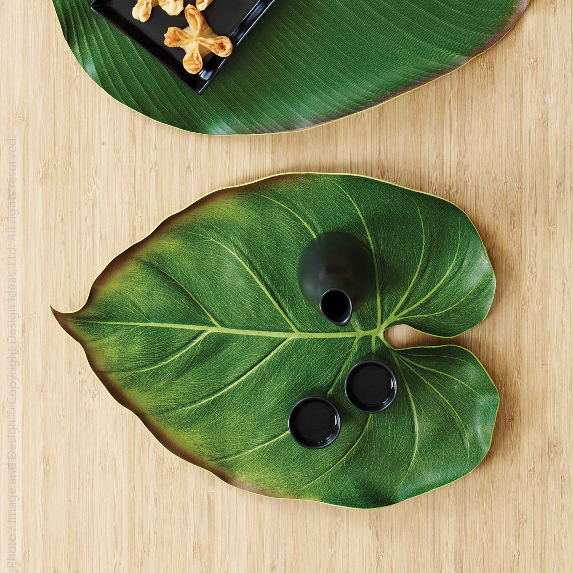 bali philodendron BaliHai™ philodendron placemat