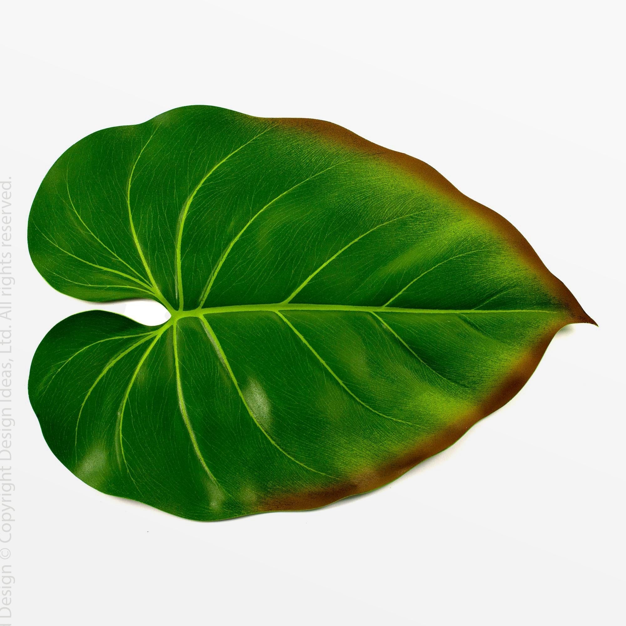 BaliHai Philodendron Placemat - Sand Color | Image 1 | From the BaliHai Collection | Expertly created with natural eva foam for long lasting use | texxture home