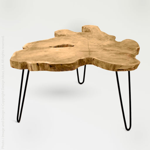 Takara Teak Root Coffee Table - Clear Color | Image 1 | From the Takara Collection | Elegantly crafted with natural teak root for long lasting use | This table is sustainably sourced | Available in natural color | texxture home