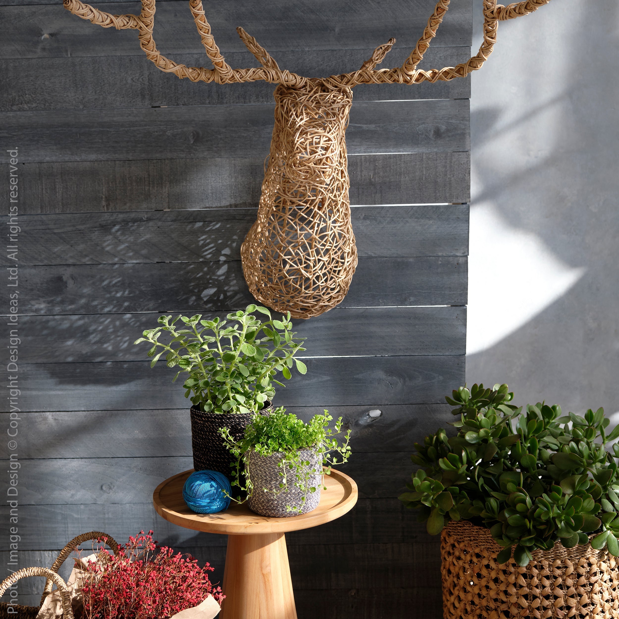 Rattan hanging new arrivals
