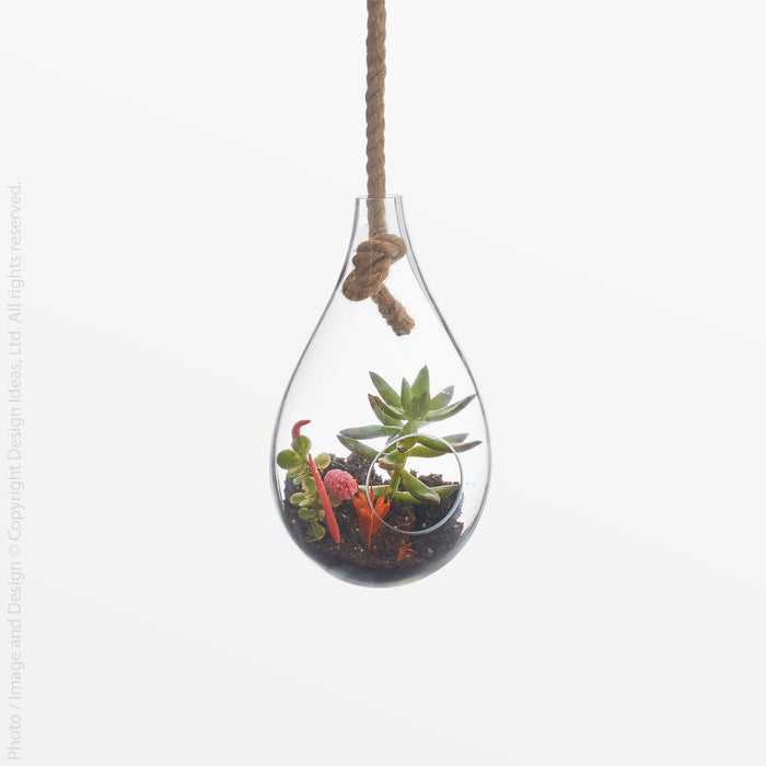 Boboli Glass Terrarium (Small) - Black Color | Image 1 | From the Boboli Collection | Skillfully crafted with natural glass for long lasting use | Available in clear color | texxture home