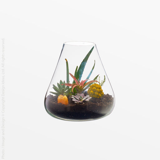 Boboli Glass Container (Short) - Black Color | Image 1 | From the Boboli Collection | Masterfully made with natural glass for long lasting use | Available in clear color | texxture home