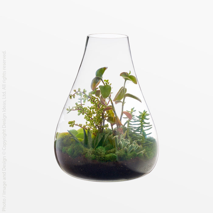 Boboli Glass Container (Medium) - Black Color | Image 1 | From the Boboli Collection | Expertly created with natural glass for long lasting use | Available in clear color | texxture home