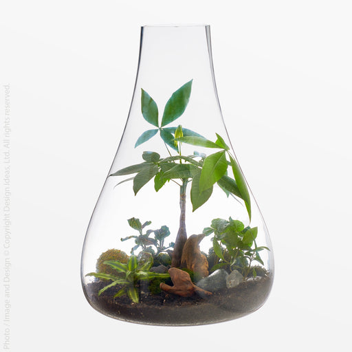 Boboli Glass Container (Large) - Black Color | Image 1 | From the Boboli Collection | Skillfully assembled with natural glass for long lasting use | Available in clear color | texxture home