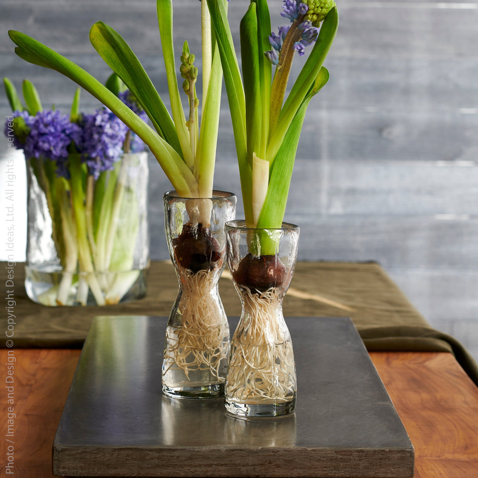 Wabisabi Glass Bulb Forcer (Large) texxture™ texxture home