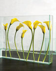 Vision™ vase (medium: long: rectangle) - Clear | Image 2 | Premium Vase from the Vision collection | made with Glass for long lasting use | texxture