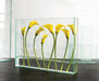 Vision™ vase (medium: long: rectangle) - Clear | Image 2 | Premium Vase from the Vision collection | made with Glass for long lasting use | texxture
