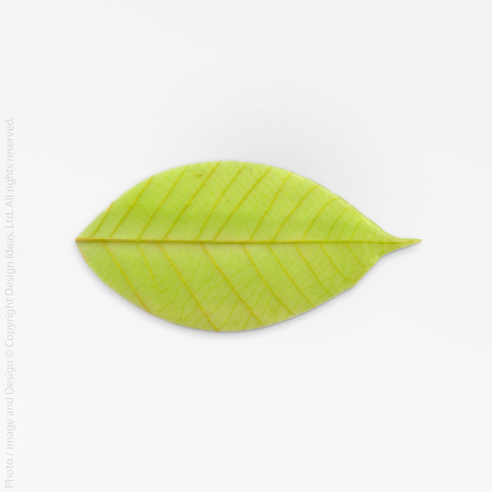 SoapLeaves Soap white color | Image 3 | From the SoapLeaves Collection | Masterfully handmade with natural soap for long lasting use | This soap is sustainably sourced | Available in white color | texxture home